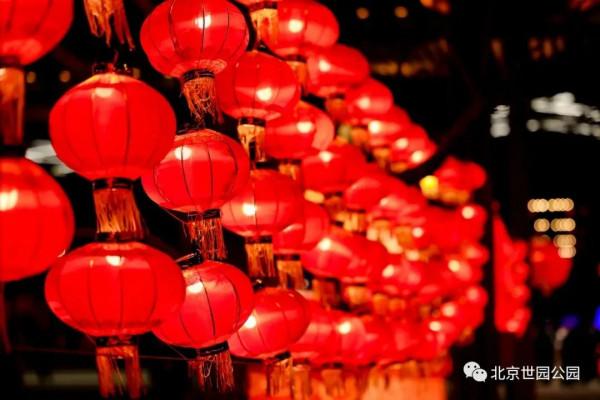 元旦去哪玩？賞花燈、看錶演、戲冰雪……