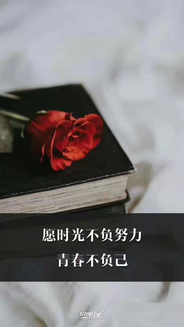 人生，就是要不停地折騰