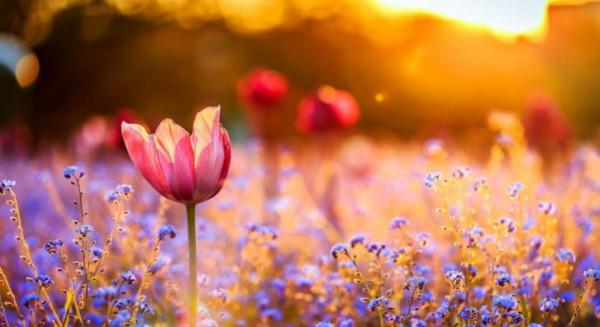 退休之後，生活越低配，越有福氣