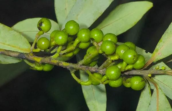 貴州的冷知識，一個比一個高能，你瞭解多少