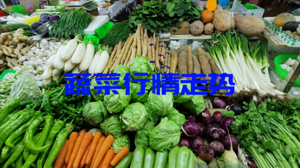 2月5日蔬菜行情走勢