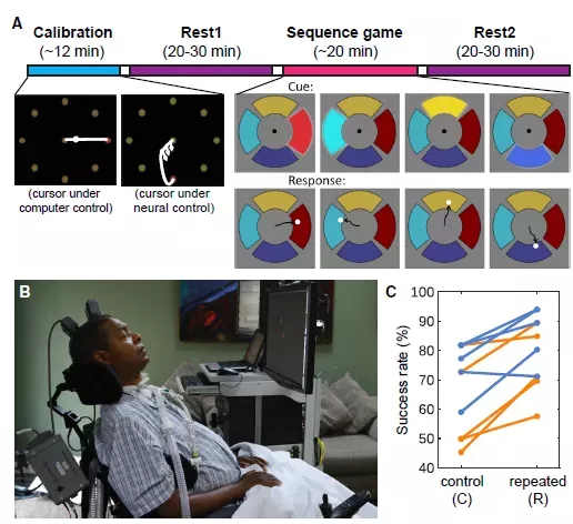 腦科學日報：首次發現藥物逆轉大腦胰島素抵抗！改善全身代謝