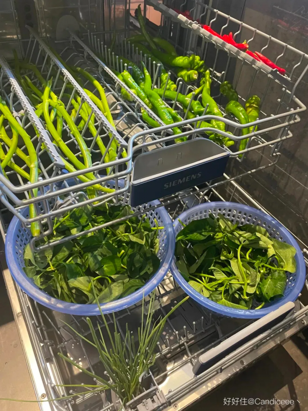 洗碗機洗萬物？春節期間全都用得上