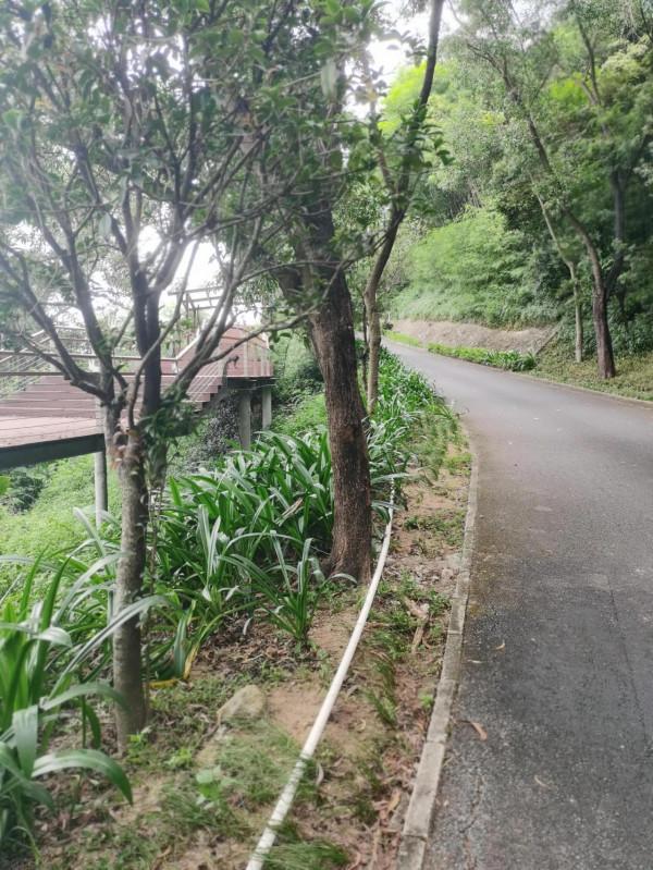 公元某年某月某日某山半日遊