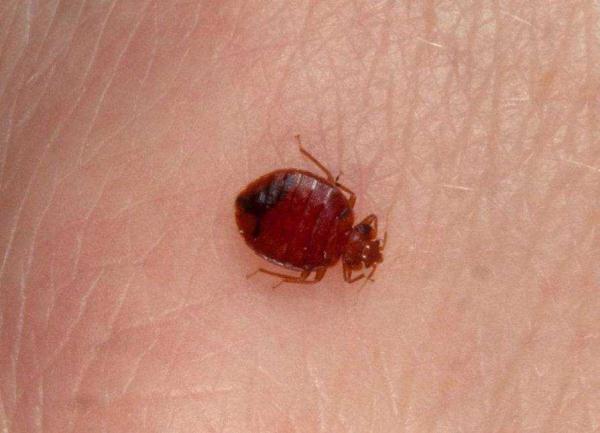 暑假即將來臨，孩子夏季戶外出行需要注意什麼？