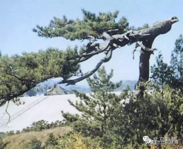 畫說北京丨曾經的大密雲