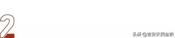 戀愛綜藝《單身即地獄》：撩漢天花板，宋智雅撩漢技巧大盤點