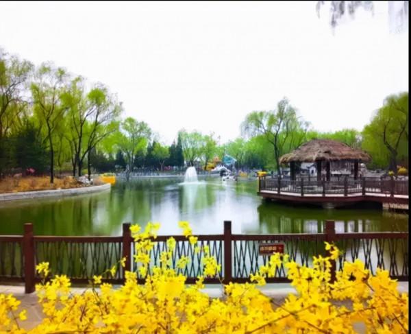 豐臺消費季丨丰韻年味節推出“豐雅送福”攻略，一同享受文娛漫時光~