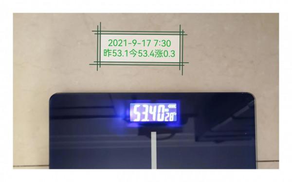 上班族減肥打卡第31天 上班族減肥打卡第31天