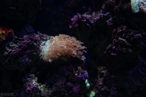 氣候變化可能已經開始扼殺世界漁業