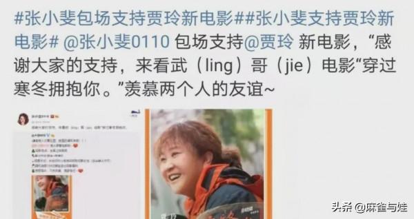 林瑞陽張庭找替罪羊？肖戰搭楊採鈺，張小斐單飛？《偵探》換血？