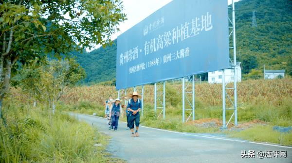 為何貴州珍酒被越來越多愛酒人士收藏?答案在這裡 為何貴州珍酒被越來越多愛酒人士收藏?答案在這裡