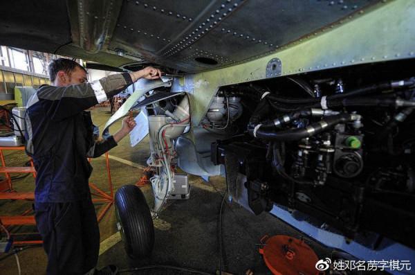 即將飛向中國的“短吻鱷”，探秘俄製卡-52/Ка-52武裝直升機