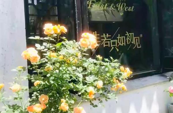 人間惆悵客——納蘭容若的悼妻詞，陪伴是最長情的告白