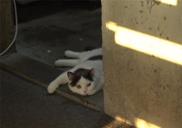 90後東北小夥在廣州買房，因沒錢裝修住3年毛坯房，網友：太灑脫