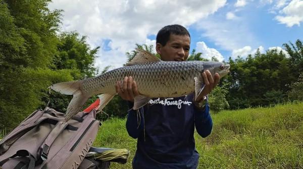 野釣為什麼難守到大魚?這些“硬傷”解決不了,大師也搖頭 野釣為什麼難守到大魚?這些“硬傷”解決不了,大師也搖頭