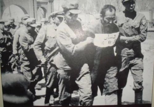 1950年土匪殺害我軍幹部後逃入深山，主席：派坦克推平，務必全殲