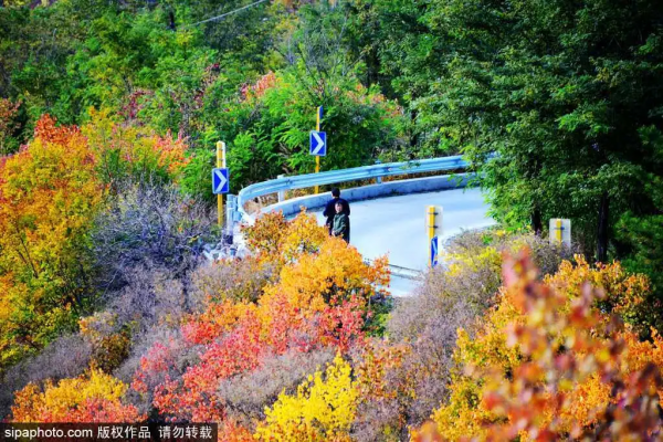 救急！還沒安排小長假？這份指南告訴你京城那些人間值得的自然風光！
