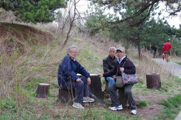 寄情山水 白馬寺 牡丹園 龍門石窟 皇城府 王莽嶺 畢業51年同學會（1）