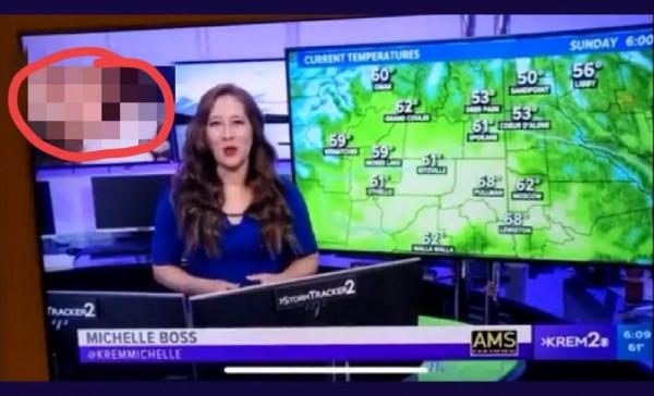 天氣預報中播放色情影片,美國KREM電視臺發生廣播事故 天氣預報中播放色情影片,美國KREM電視臺發生廣播事故