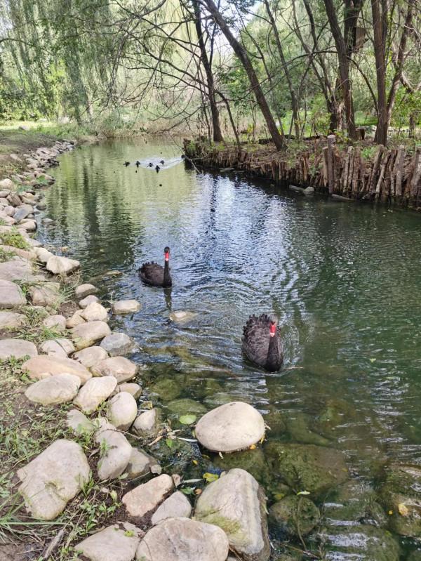 南海子公園咋恁美？
