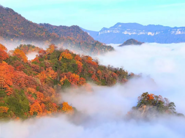 紅葉最佳觀賞期！這些地方全都美成了仙境，趕緊出發