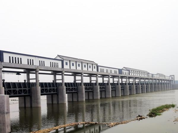 古渡新貌——我的家鄉之四