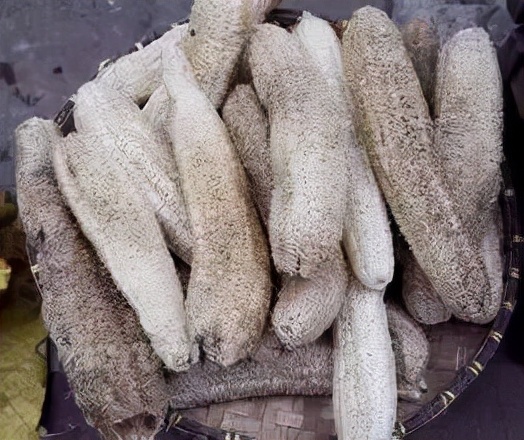 80年代的家用神器 80年代的家用神器