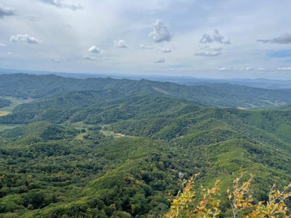 iPhone12pro Max的一年所感悟