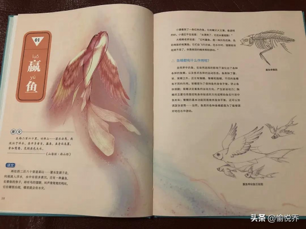 孩子看得懂也喜歡看的《山海經》