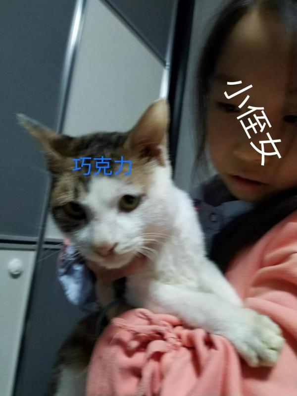 小貓安家了 小貓安家了