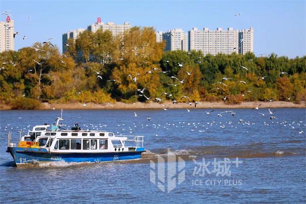 水豐魚蝦足 江鷗戀松江
