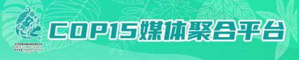 「“象”往春城 相約COP15」雲南生物多樣性很豐富嗎？超乎你想象