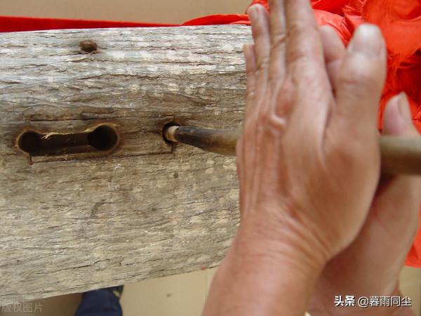 不要相信關於野外生存的神話，22個大錯特錯能讓你喪命的求生誤區