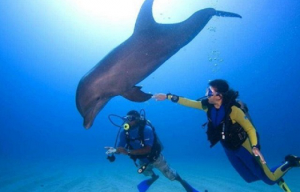 世界“謀殺率”第一國：當地女性地位低，政府設立集市買賣妻子