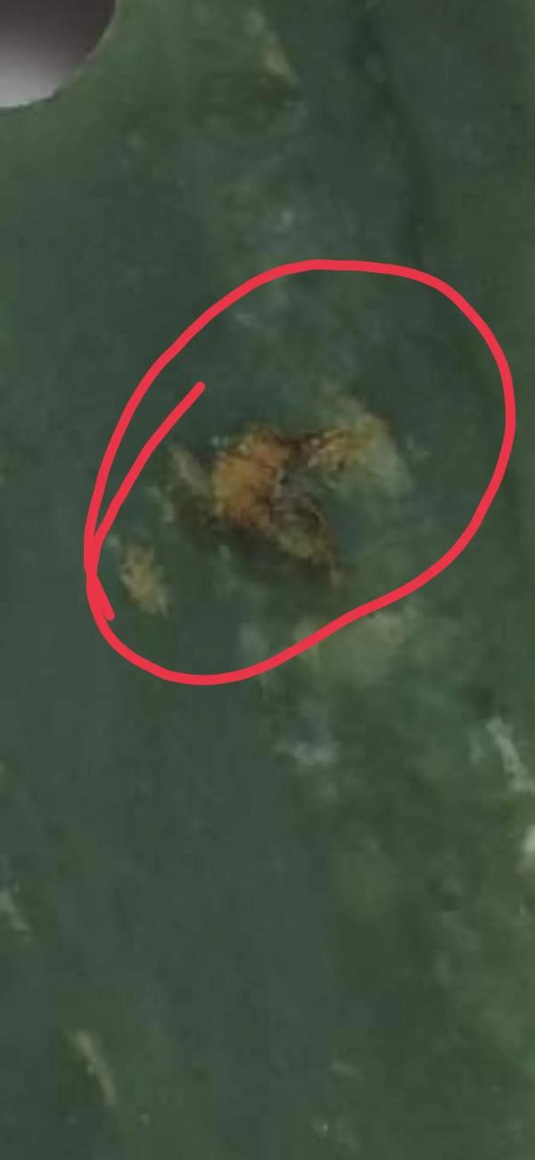 玉器的驚裂痕(論例)