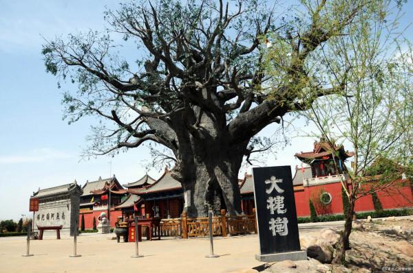 全國首批47個國家級文明旅遊示範單位名單，建議收藏