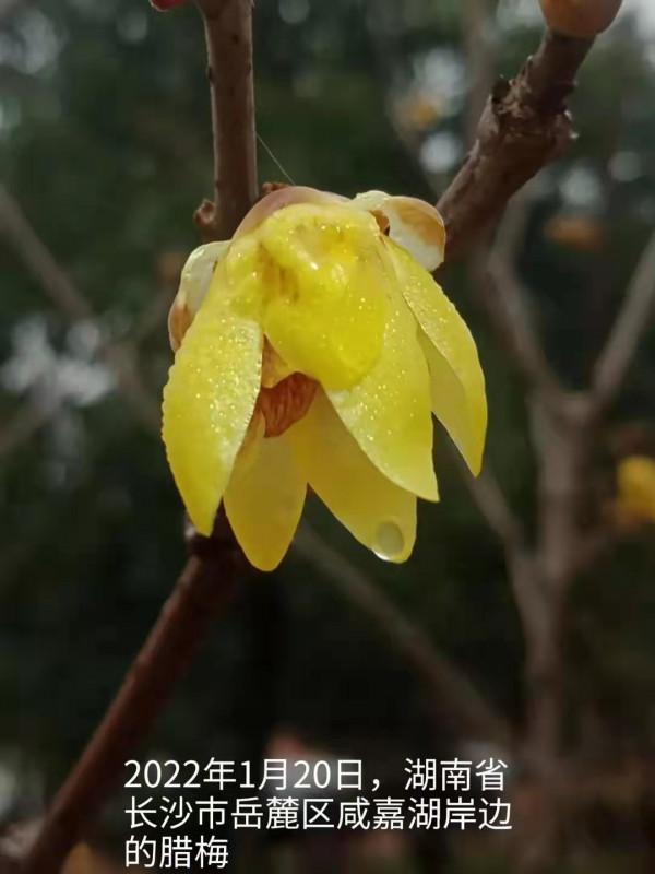 匹配的就是最好的