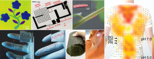 柔性生物材料、奈米光學器件、可食用塗料、智慧建築材料……我說的是蠶絲的未來用途