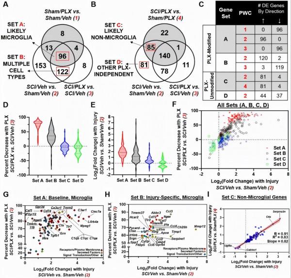 腦炎不容小覷，輕則記憶衰退，重則痴呆