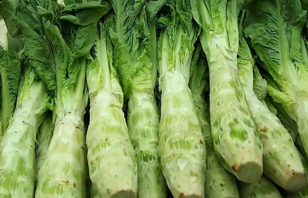 《本草綱目》中的“千金菜”，鉀含量極高，孩子常吃個子高又聰明