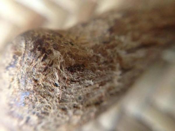 越南紅土沉香珠子