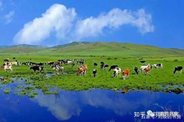 如果把歐洲大陸變成一個圍棋盤,哪個帝國佔據了最多的棋盤範圍? 如果把歐洲大陸變成一個圍棋盤,哪個帝國佔據了最多的棋盤範圍?