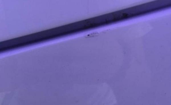 捷豹XEL車身漆面脫落，可能跟三個原因有關，處理方法很關鍵