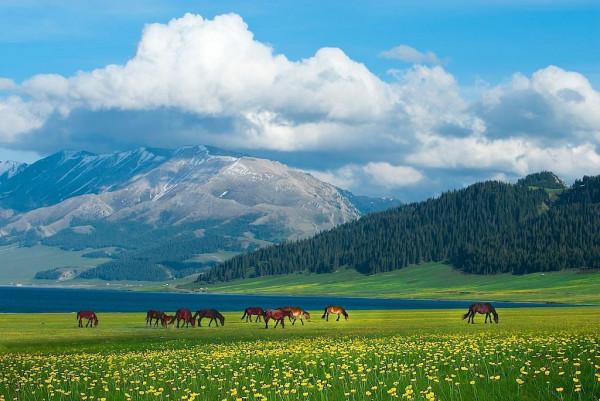 新疆自駕遊,最關鍵的五大準備工作,老司機和小白司機的本質區別 新疆自駕遊,最關鍵的五大準備工作,老司機和小白司機的本質區別