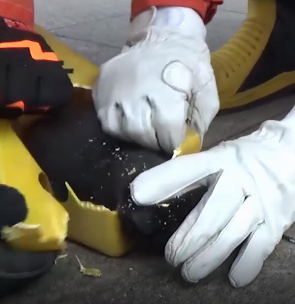 女子過馬路時發現一塊倒地的障礙牌，湊近後一看：哪裡來的小可愛