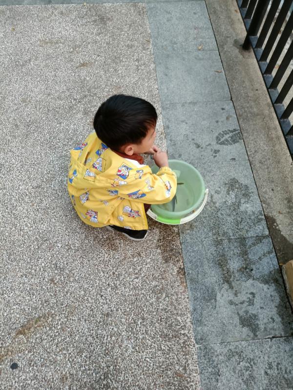 新杆開光手感一流,享受著遛魚的過程 新杆開光手感一流,享受著遛魚的過程