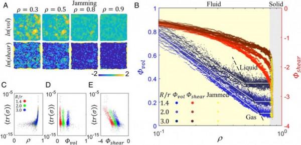 固體、液體、還是氣體？視覺“指紋”可快速識別組織和癌症腫瘤的物理狀態