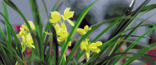 凌晨就開始喝早茶的小縣城,比廣東猛多了 凌晨就開始喝早茶的小縣城,比廣東猛多了