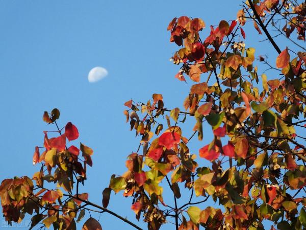 雅稱、代稱、它稱、別稱彙總(七) 雅稱、代稱、它稱、別稱彙總(七)